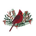 Image Not Available